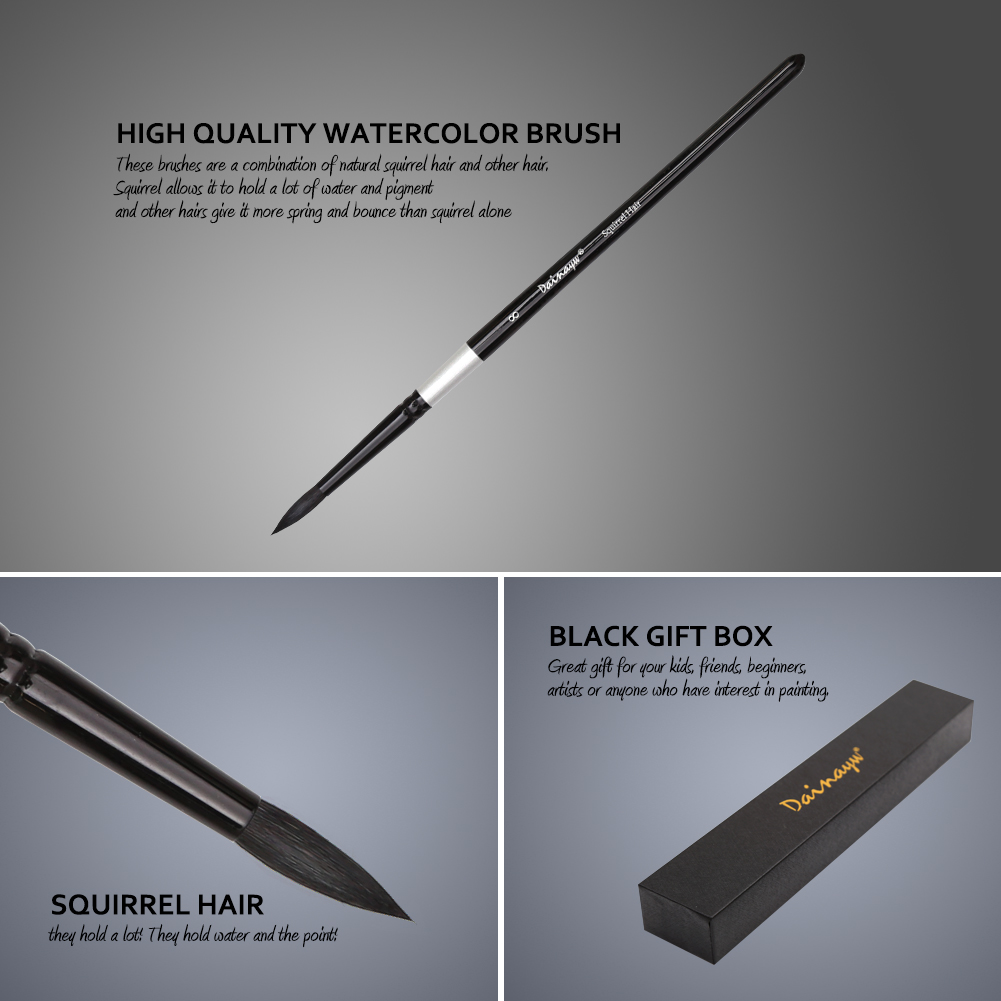 Dainayw Professional 4Pcs Roun - Gouache Paint Set review and price